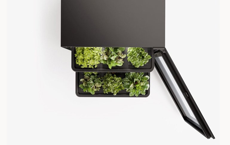 Agrilution Plantcube